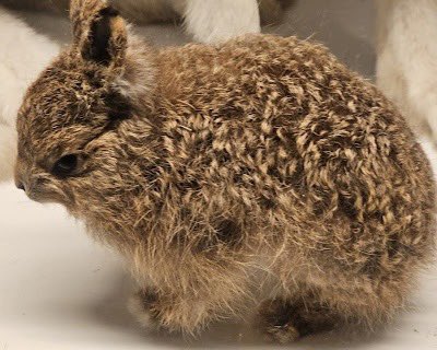 Mine Freundin wenn se mi permanent frontet und i denn oa Mol konter