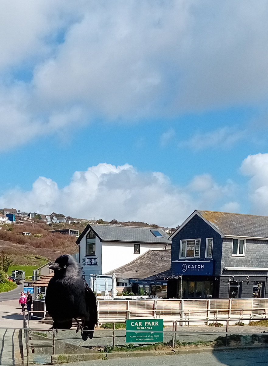 Lisa Gethen 💙 tweet media