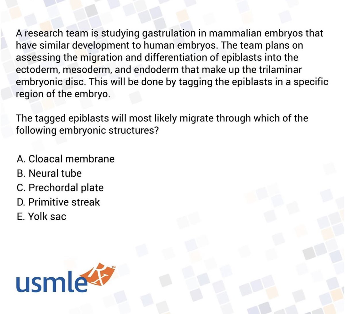 donye_goodness's tweet image. 🐣Embryology Question. What’s your answer &amp;amp; why?