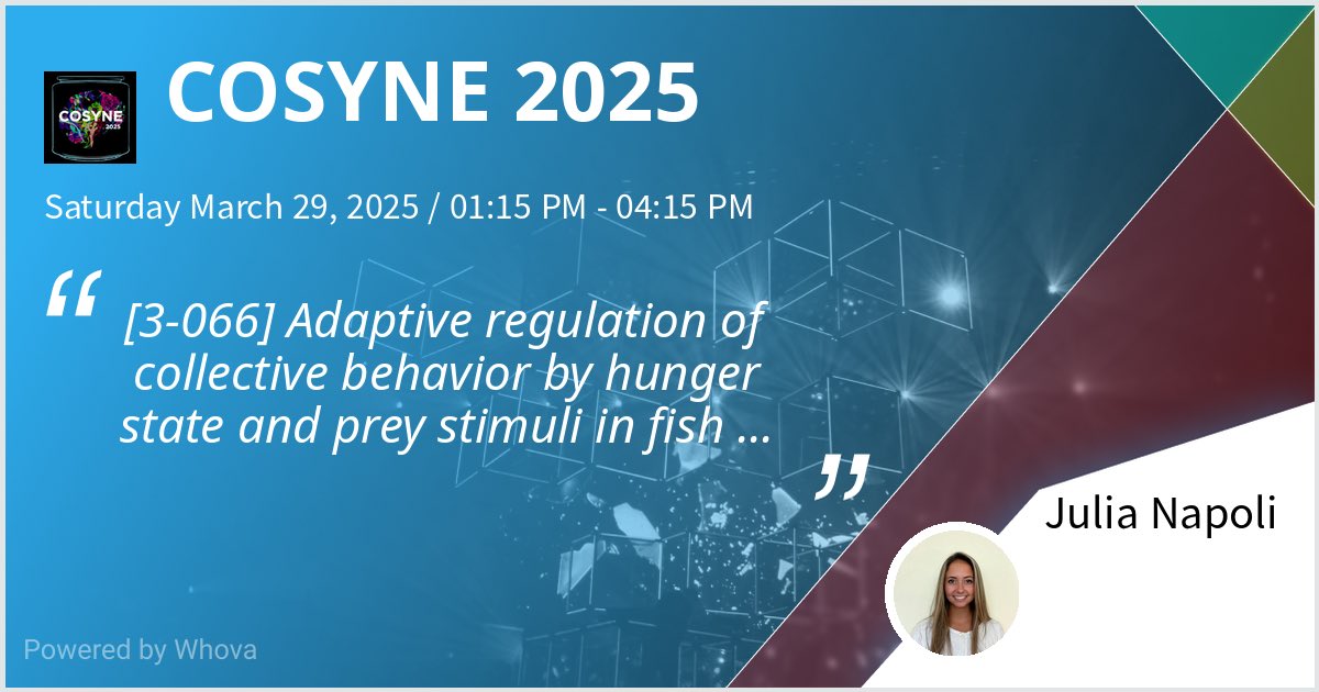 come stop by my poster [3-066] this afternoon if you’re at COSYNE and want to learn more about collective behavior in fish! 🐟🐠#COSYNE2025