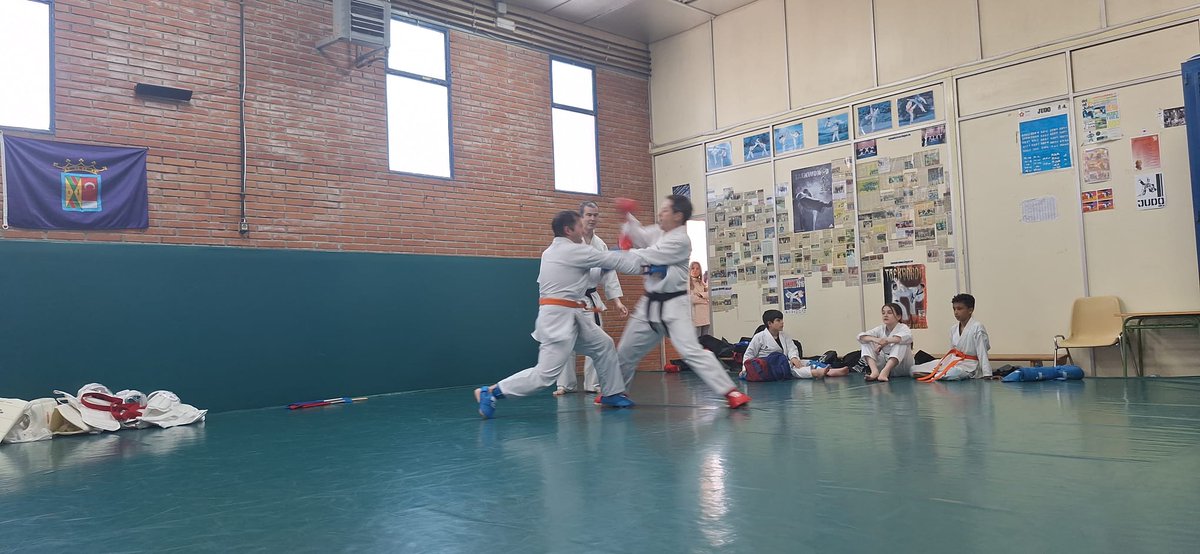 BushidoColmenar's tweet photo. Intensa mañana de trabajo de shiahi kumite para todas las edades. https://t.co/dMHVNQf2kw