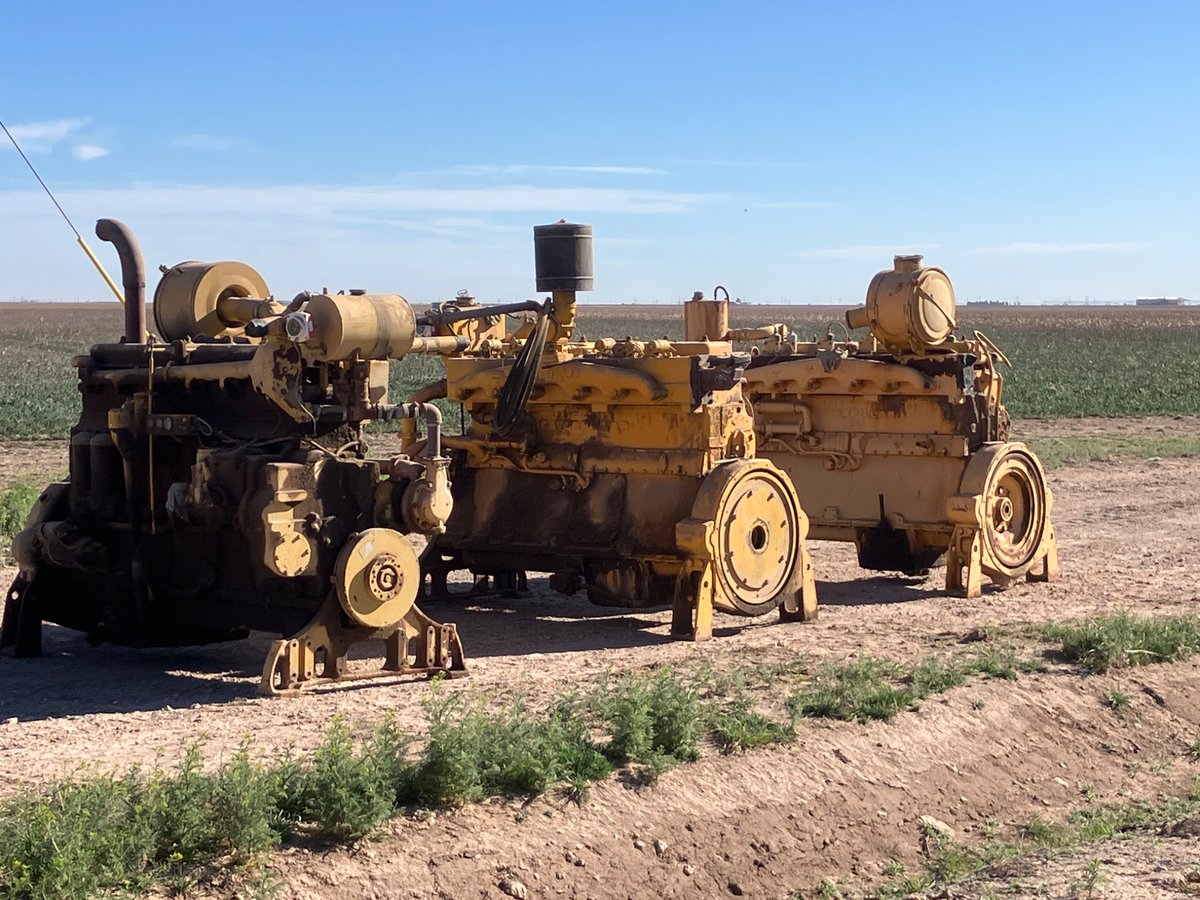 Checking bone pile for overhaul candidates.