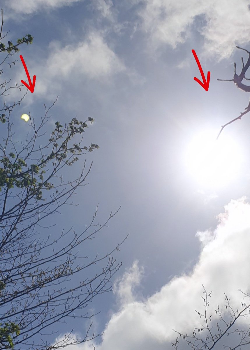 #Zonsverduistering #Bloemendaal