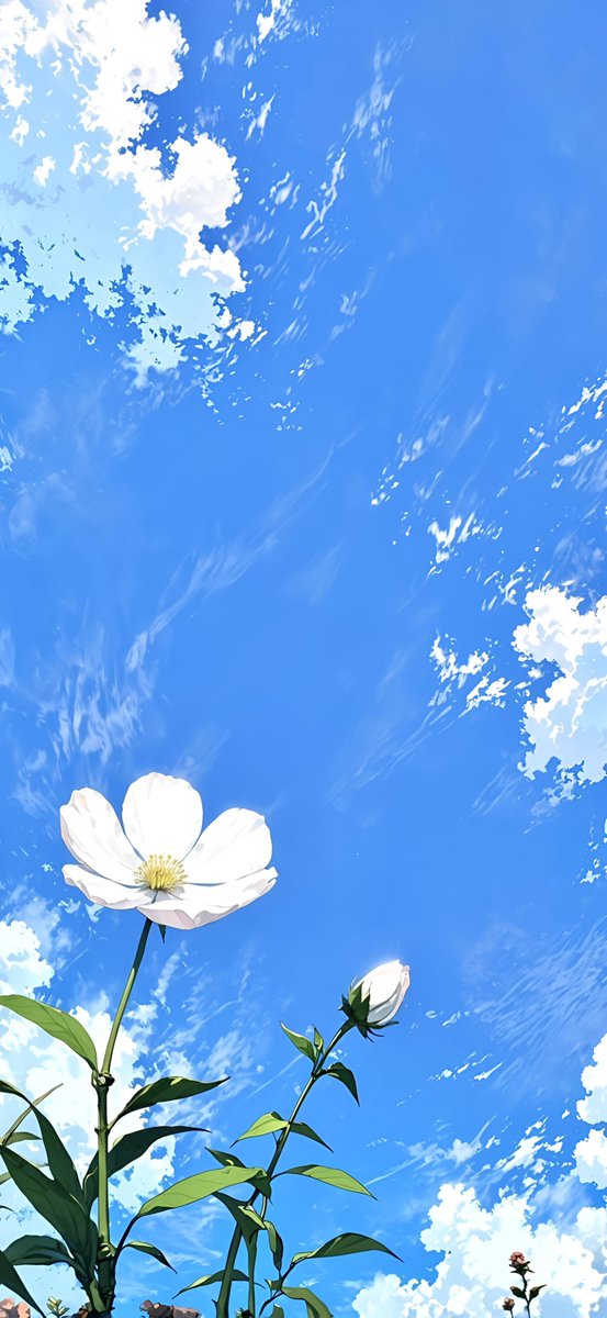 New wallpaper 🤍