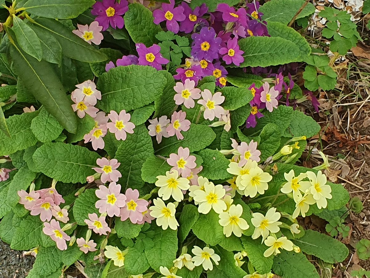 AHaglington's tweet image. #UK 🇬🇧 #Clocks
#SpringForward
+1 hour tonight