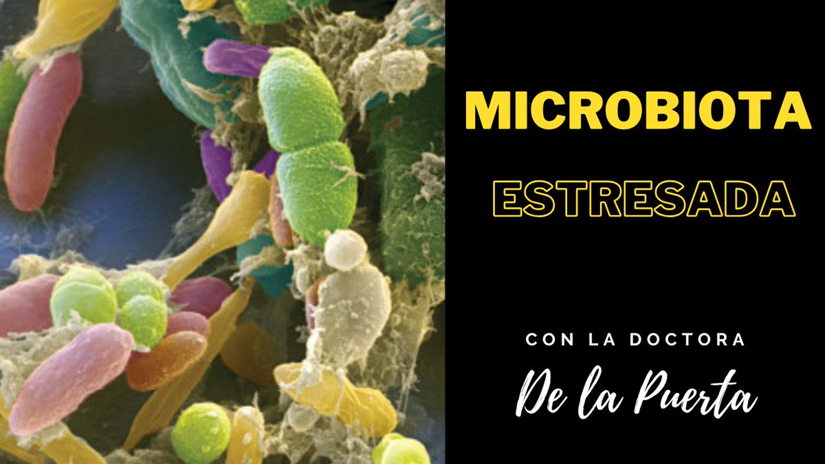 Mañana, en <a href="/radioelrespeto/">El Respeto</a>, un programa imperdible con una de las mayores expertas en microbiota, la Dra. de la Puerta.  20:00 horas (CET)
youtube.com/live/OessB9N0E…
🧠 Porque no hay salud mental sin salud intestinal.
🧒 Porque la microbiota infantil marca el bienestar futuro.
🍎
