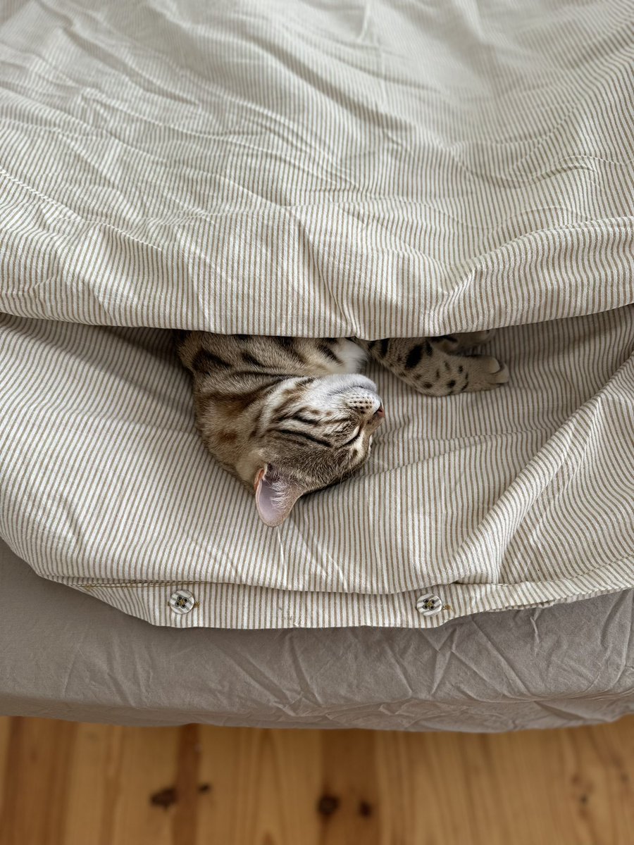 Дневной сон по расписанию 😴