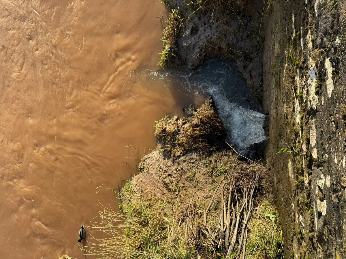 Leigh Day (@leighday_law) on Twitter photo At least 12,500 hours' worth of sewage was spilled into the river Wye by Welsh Water in 2024, data shows.
Leigh Day's @OllyHolland, <a href="/CelineODono/">Celine Anne O'Donovan</a> and <a href="/Benji_Gourgey/">Benji Gourgey</a> represent residents alleging the spills have contributed to the river's deterioration.
leighdaylaw.info/4kXThUW At least 12,500 hours' worth of sewage was spilled into the river Wye by Welsh Water in 2024, data shows.
Leigh Day's @OllyHolland, <a href="/CelineODono/">Celine Anne O'Donovan</a> and <a href="/Benji_Gourgey/">Benji Gourgey</a> represent residents alleging the spills have contributed to the river's deterioration.
leighdaylaw.info/4kXThUW