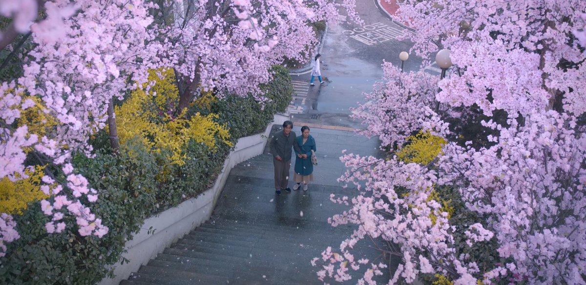 zkdramas's tweet photo. “Rain may pour as if it would sweep everything away. But once the sun starts blazing again, life rises again, no matter what.”

when life gives you tangerines (2025) 🍊 https://t.co/q8uKrJJMmv