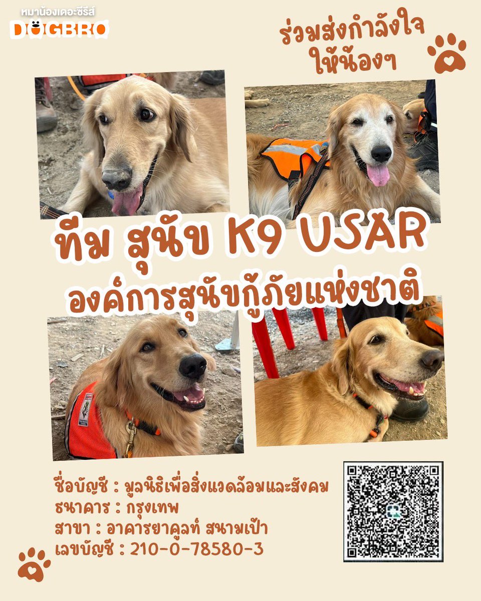 ร่วมส่งกำลังใจให้น้องๆ กันนะครับ🐶🧡
#k9dogs #แผ่นดินไหว #DogBro #หมาน้องเดอะซีรีส์
