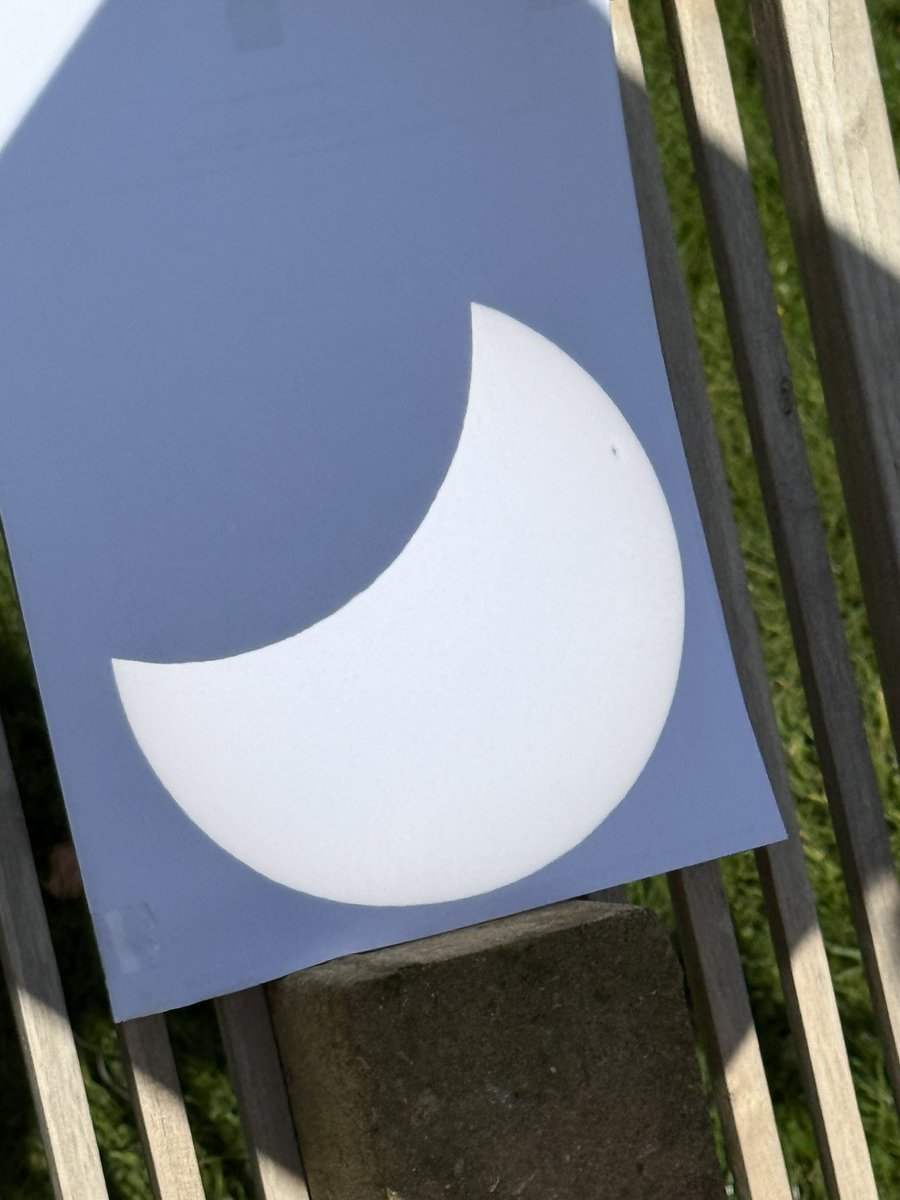 Mike Shaw tweet media