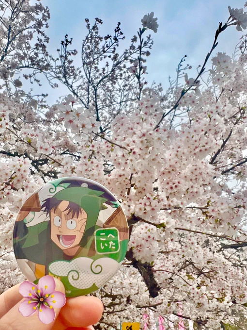 こへはと撮っておかないとね 