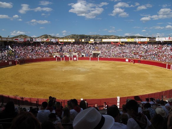 Califican de "delirante" el concurso taurino con menores de Teruel que "expone a lesiones invalidantes". Fundación Franz Weber advierte al Ayuntamiento de Emma Buj una vez más por vulnerar derechos fundamentales: arainfo.org/?p=304384