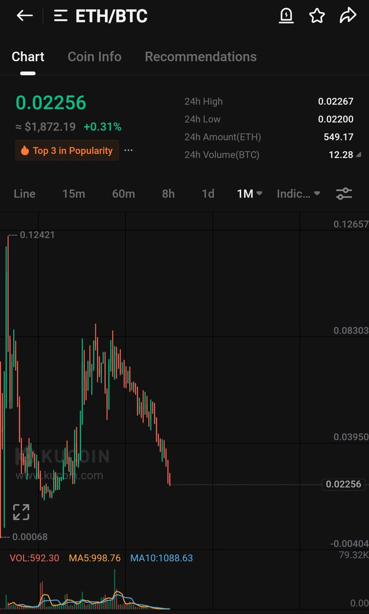 WIZZ🥷 ( beware scammers ) tweet media