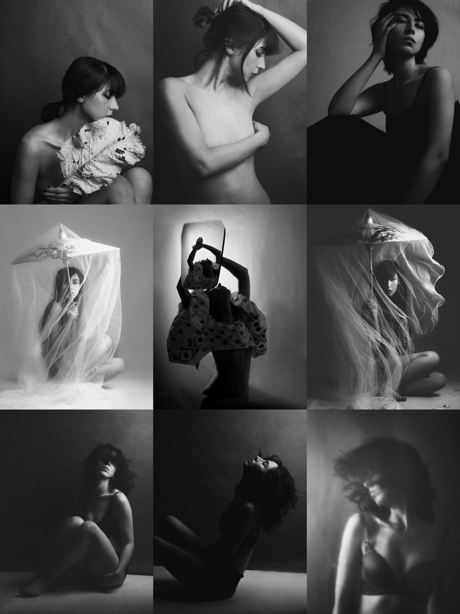 .Kitsu.Sun tweet media