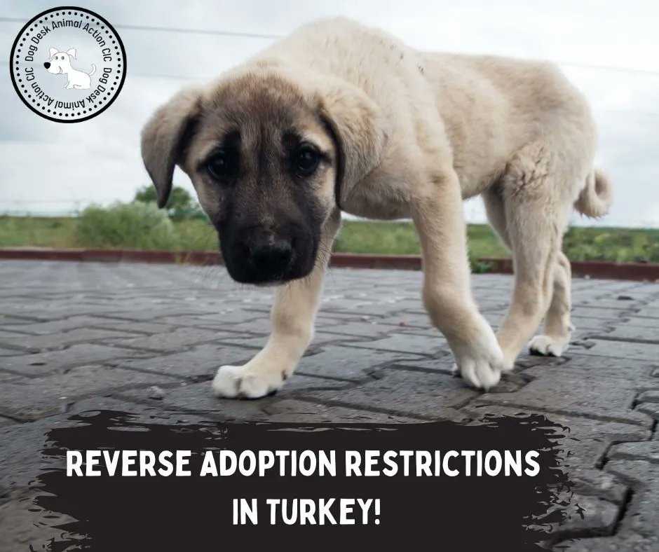 Please keep sharing this petition, we need 10,000 signatures before we can present it 

Adoption restrictions &amp; bans need to be reversed so that stray dogs are saved from culling!

Please help
dogdeskanimalaction.com/35268-2/