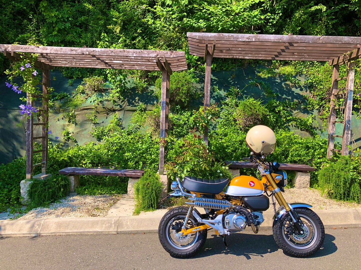 shinavani's tweet photo. もうそろそろ走り出したい春🌸

#これを見た人は愛車の横顔を貼れ
#monkey125 https://t.co/Smfx5lqRsf