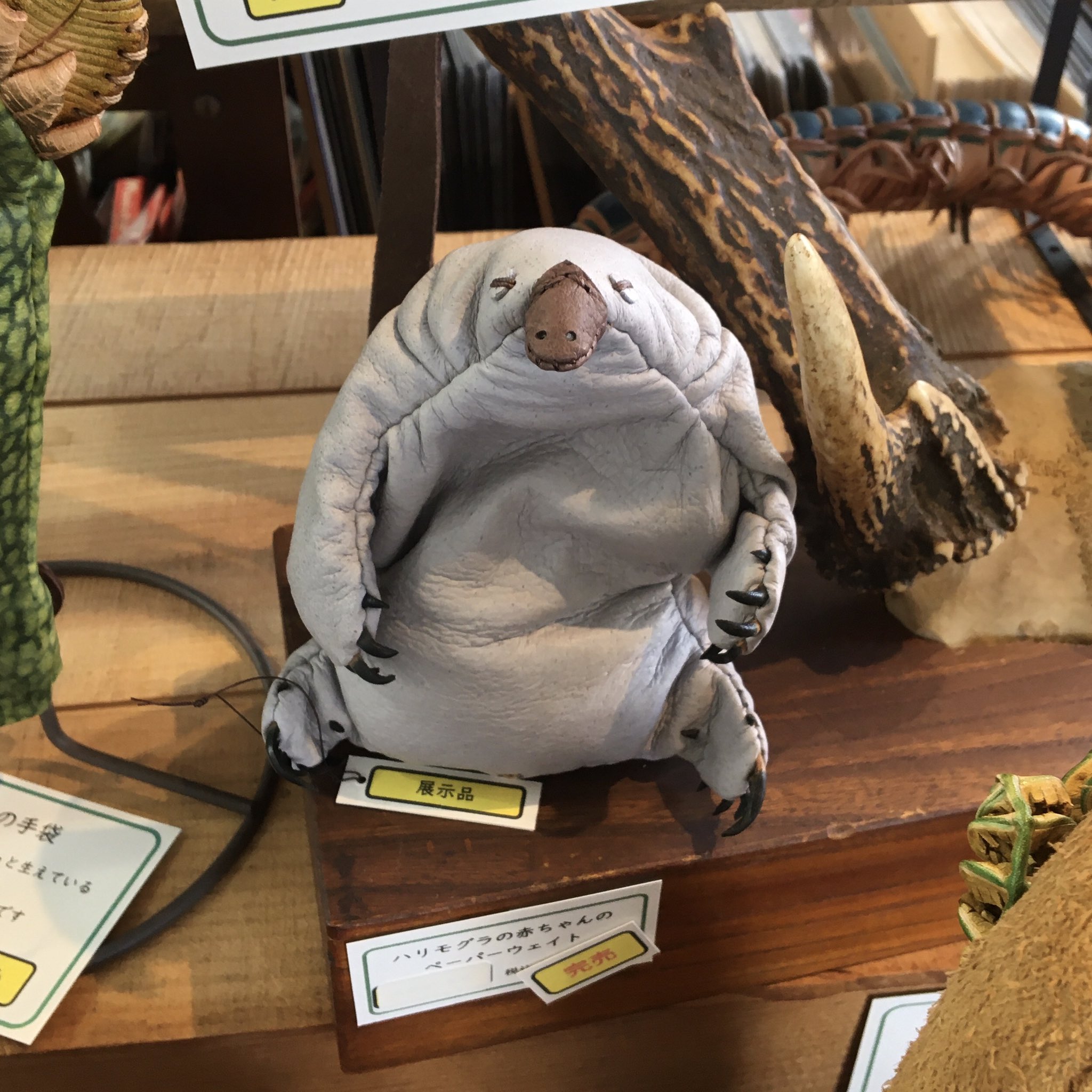 海ねこ 貼りつく鏡磨き おしりねこ – 株式会社アイセン