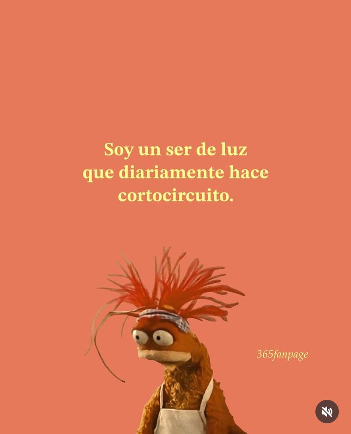 Carla Acco Fornari (@carlafornari) on Twitter photo 