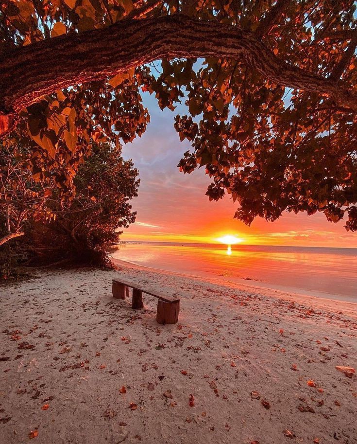 Raju Rawat tweet media