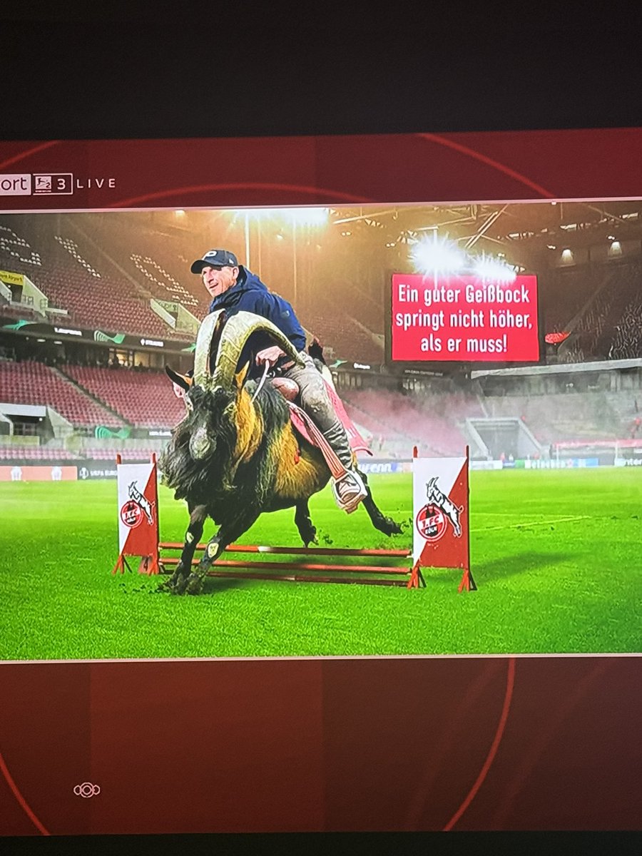 Sky bringts auf den Punkt!
