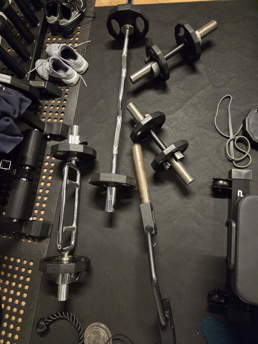 Had a bit of an insane Charles Poliquin style arm workout yesterday. Unlike the previous time my recovery is going better!