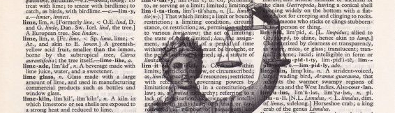 "fiat justitia ruat caelum."

"gökler yıkılsa da adalet yerini bulsun."