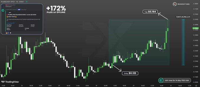 Woohoo! No shot ! Just locked in a juicy 170 % on $PLUME Don’t sleep—this is your cue to hop in the Discord .   discord.gg/mkXh9BEuCu Try now! $SUI $BTC $DOGE $ADA $USDC $HBAR $XRP $ETH $MNT $SOL