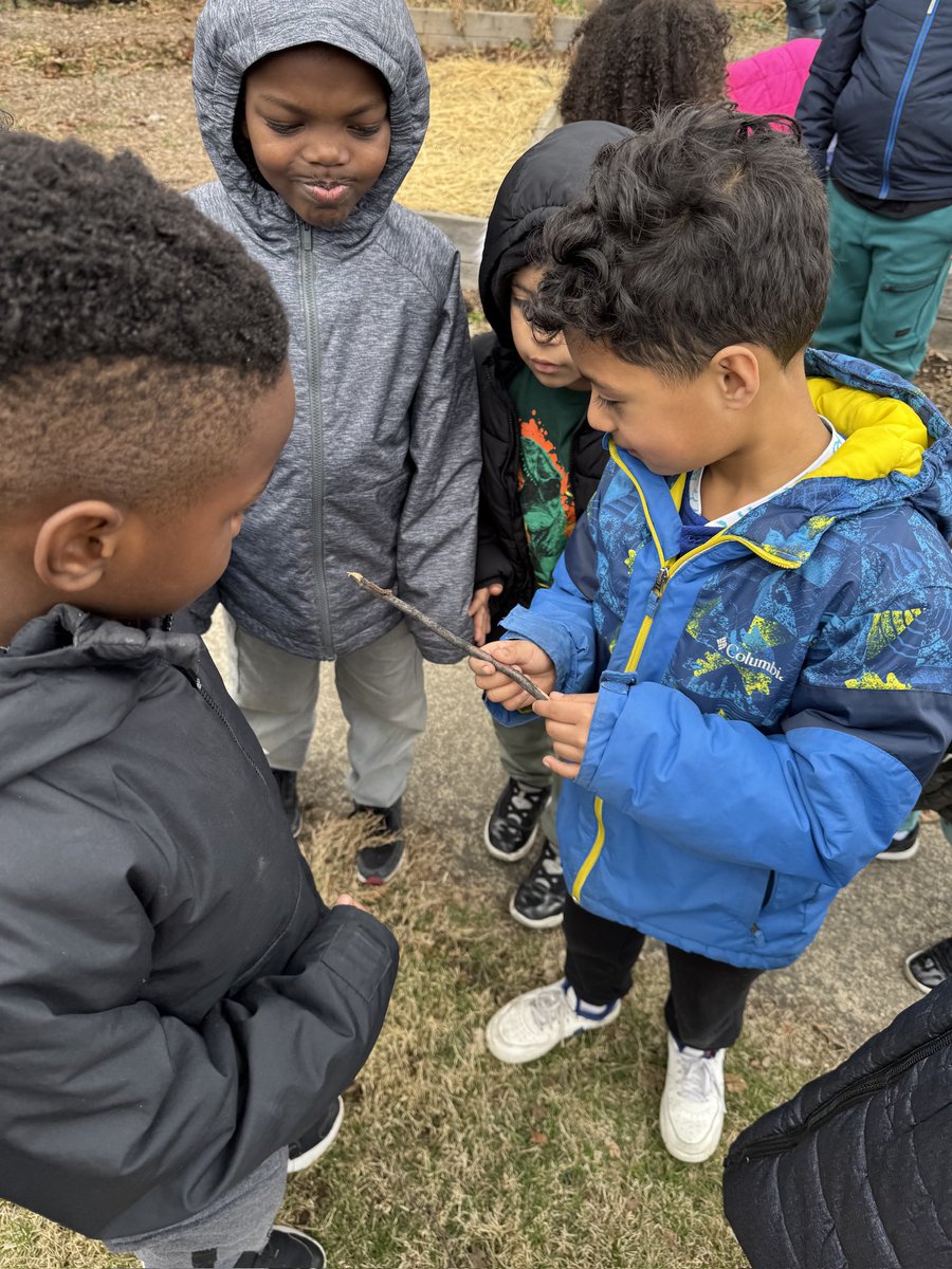 Kelly Purdy (@kpurdy55) on Twitter photo We love when <a href="/LandToLearn/">Land to Learn</a> comes to visit for garden time! <a href="/newburghschools/">Newburgh Schools</a> <a href="/Gidneyaveschool/">Gidney Avenue School</a> We love when <a href="/LandToLearn/">Land to Learn</a> comes to visit for garden time! <a href="/newburghschools/">Newburgh Schools</a> <a href="/Gidneyaveschool/">Gidney Avenue School</a>