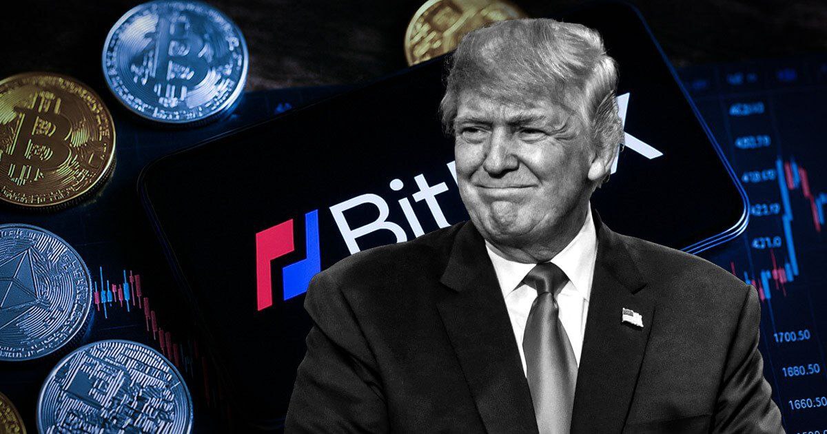 Emily_Xbt's tweet image. Trump pardons BitMEX&apos;s three co-founders and former employee!

#Trump #BitMEX #Crypto #Bitcoin