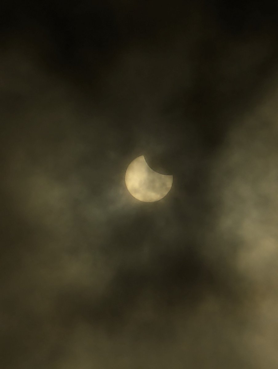 AlexGotgot tweet media