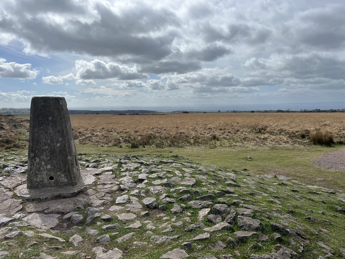 Hanham Woods D of E tweet media