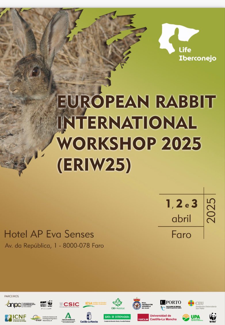 When rabbits are key in mediterranean ecosystems. See you in Faro! <a href="/WWFespana/">WWF España 🐼</a> iberconejo.eu/eriw2025/
