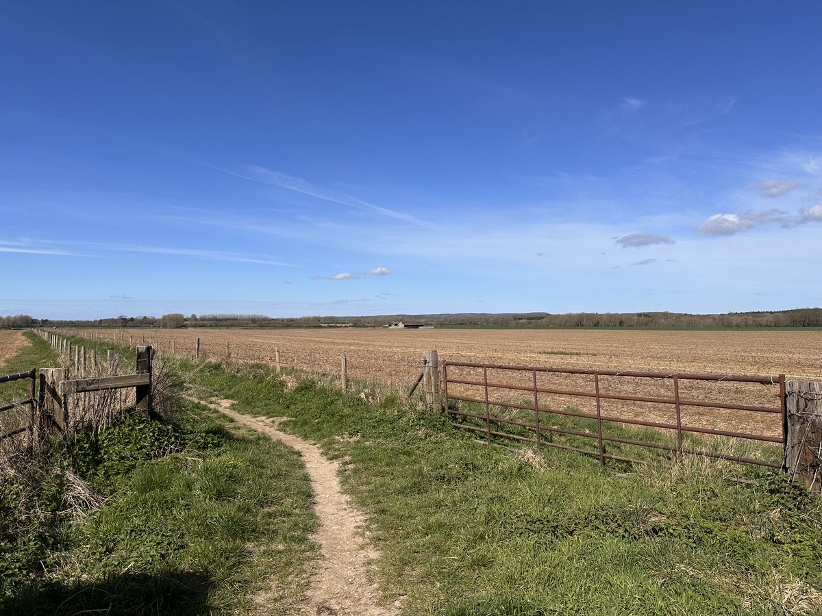 42 sps in a 10k walk from home this morning covering Angmering and Black Ditch.
Highlights were Barn Owl, Kingfisher and plenty of Yellowhammers and Reed Buntings. Little Egret in small area of water with 2 GBBG's.
First Small Tortoiseshell also.
#lowcarbonbirding #UKBirding