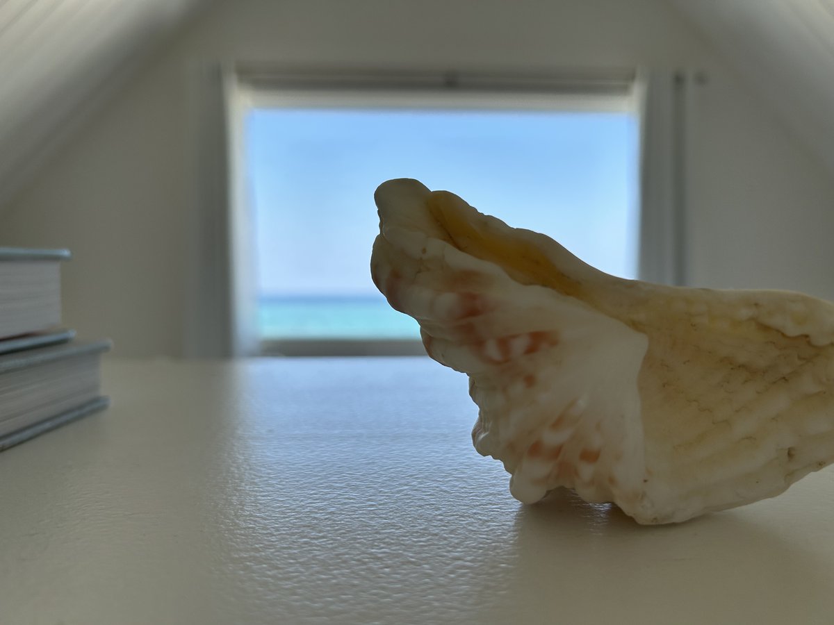 今回与論島の旅で3泊お世話になったのが、プリシアリゾート与論さんです。ビーチサイドヴィラのお部屋からは数mで美しいビーチと海。
夕焼けが沈む瞬間をディナー食べながら眺められます。与論に行ったらまた泊まりたいです。