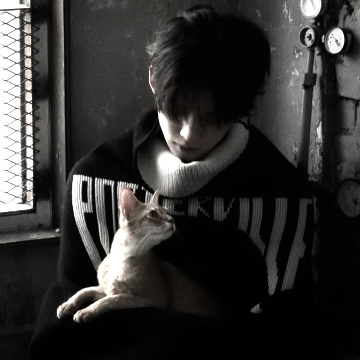 ㅤ
𓄹𓈒 ˖ today's log ─ 002 𖦹
⋆  seoul  ,  south  korea

&amp;&amp;.  good evening .ᐟ look at this cutie that i'm going to check .. it's his first time meeting me , but he is already comfortable , which is a good sign .ᐟ 
ㅤ