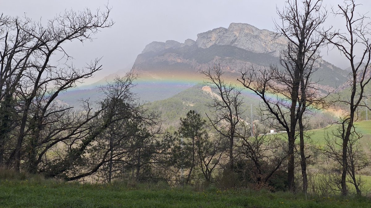 Cienciaadojo's tweet image. Fort 🌬️ #torb al Pirineu, la nevada ❄️ ha saltat a la cara Sud i pre-Pirineu baixant per sota els 1000mts en alguns punts. Les fotos són des de Coll de Nargó on en alguns moments quien #flocs ❄️ @meteocadi @meteocat @MeteoGosol @MeteoSeu @meteopuigcerda @meteopallars @MeteoGasso