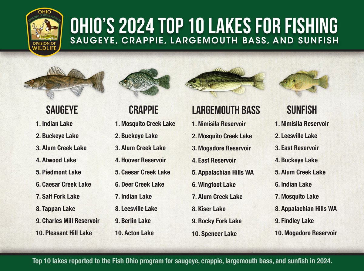 🙌 Top 1️⃣0️⃣ Lakes for Fishing 🎣
🐟 Fish Ohio records show that largemouth bass, saugeye, crappie, and sunfish are four of the most popular sport fish at inland lakes across the Buckeye State.
