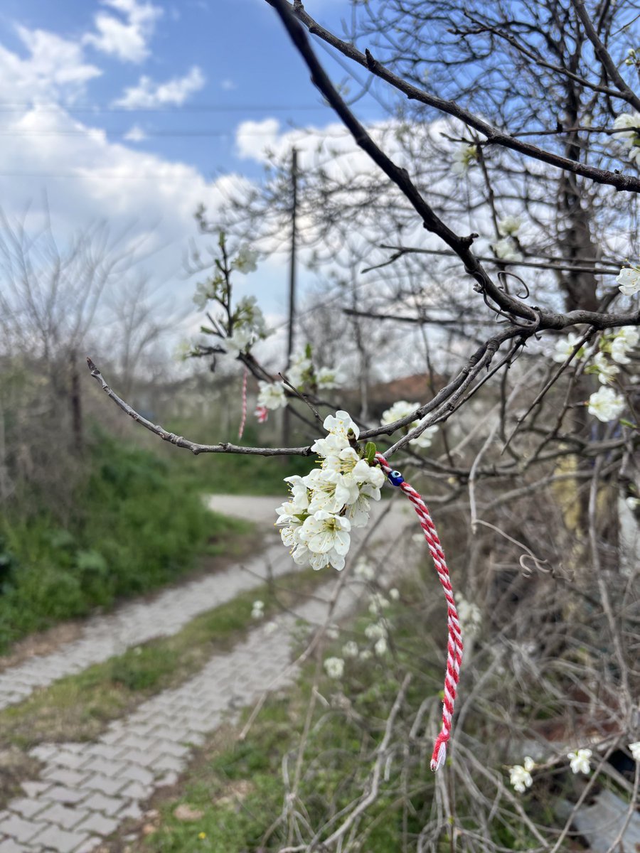 son dakıka yetısttmm