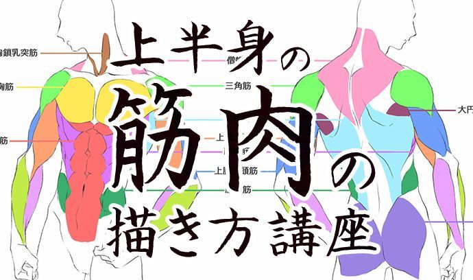ichiup_net's tweet photo. スジだけ描いても細マッチョにはならない!?
上半身の筋肉の描き方講座💪

#絵が上手くなる記事はコレ
詳細はリプ欄へ👇 https://t.co/YlWoo1bRQm