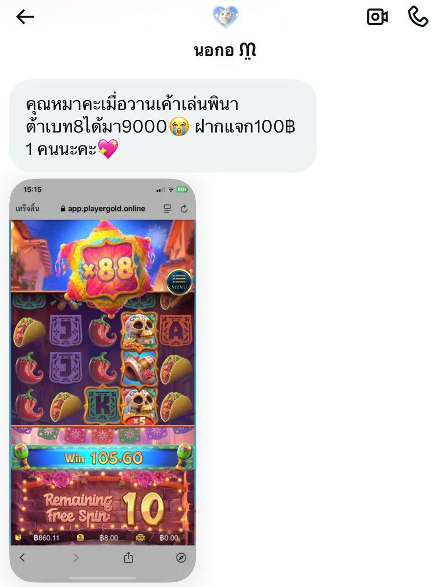 🐺 𓊆 หมาน้อยถุงเงิน 𓊇 ╺̱ 𓊓 tweet media