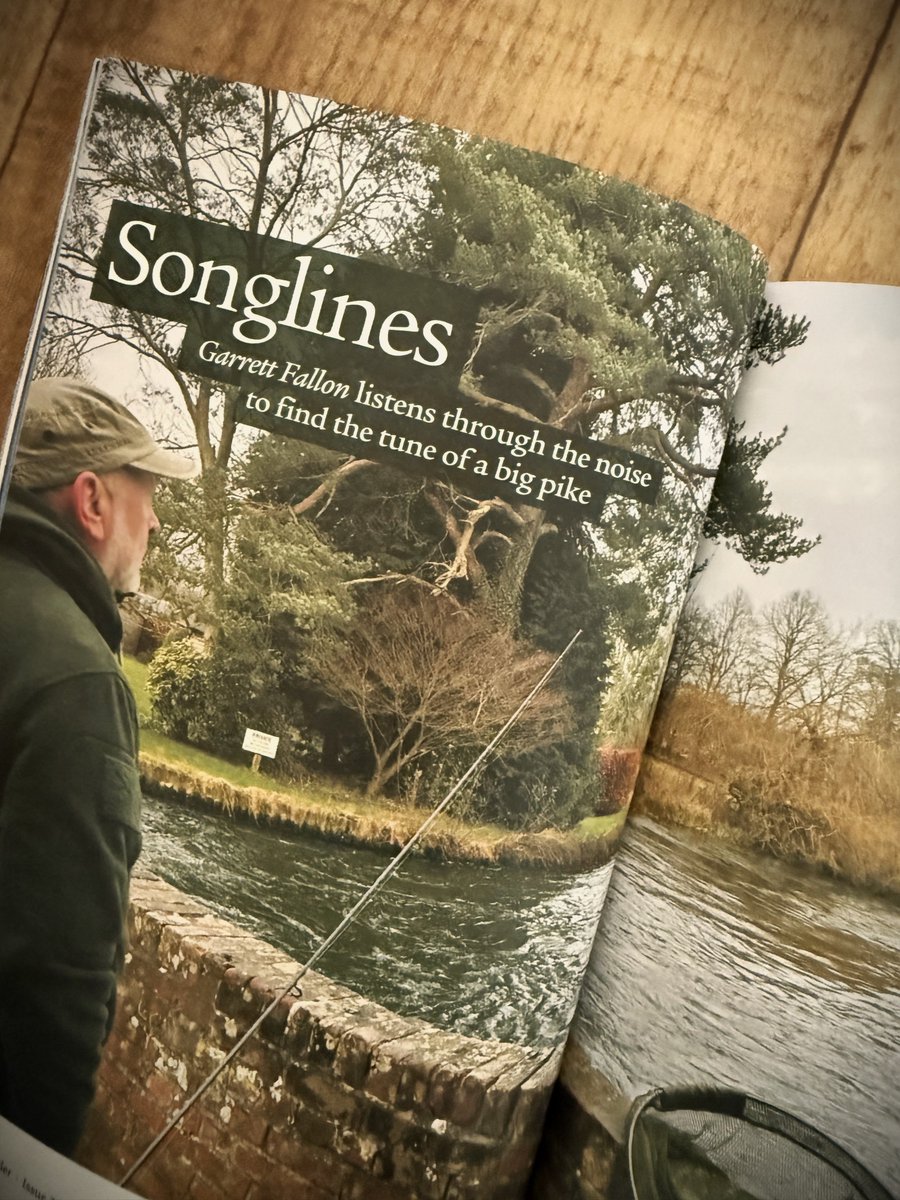 fallonsangler's tweet image. The boss made it down to the Test shortly before the coarse season's end.

He caught plenty of fish, to a watery soundtrack, including a pike that delivered a poignant symmetry.

Read 'Songlines', by Garrett Fallon, in Issue 37.

To order or subscribe - fallonsangler.net/shop/