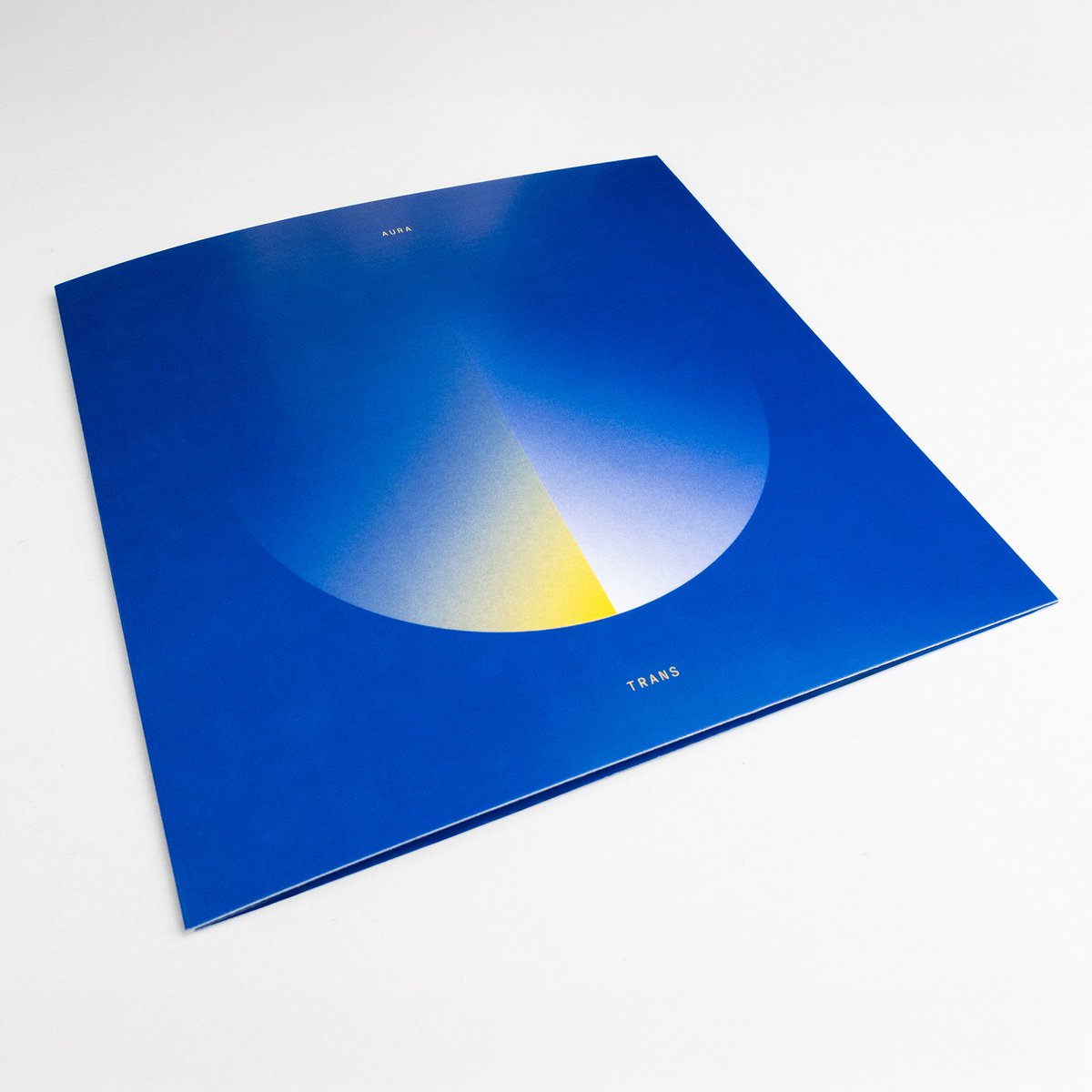 kasugarecords's tweet photo. "Aura Trans" by @andreaslutzz is available today as a digital release and SD card edition. Streaming links and ordering of the physical edition via link in bio.

#aura #trans #audio #release #ambient #electronic #electronicmusic #andreaslutz #kasugarecords #voice #resynthesis https://t.co/RJc7kxAgaN
