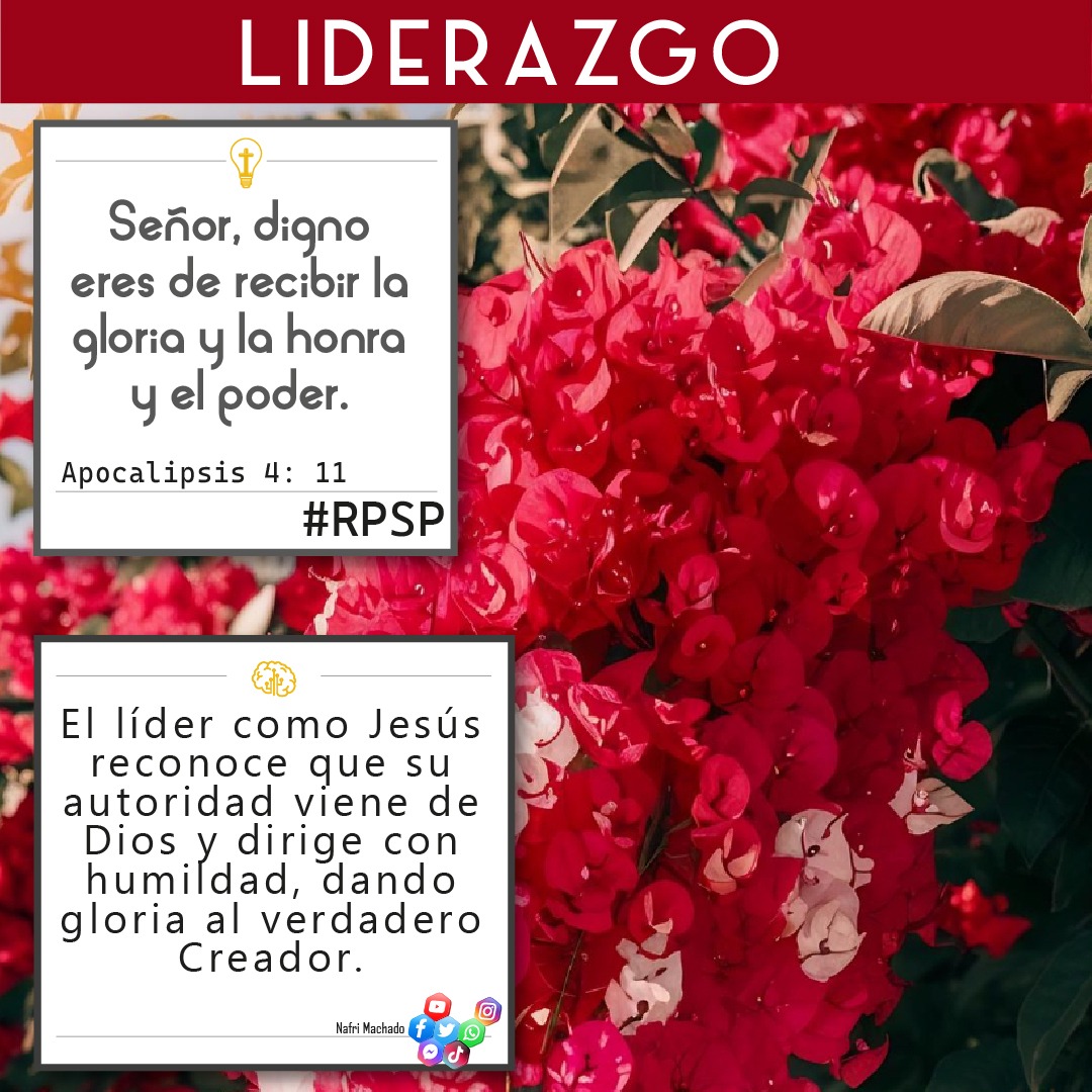 📖Apocalipsis 4: 11 Señor, digno eres de recibir la gloria y la honra y el poder.✝
🤔El líder como Jesús reconoce que su autoridad viene de Dios y dirige con humildad, dando gloria al verdadero Creador.🧠
🫂¡Feliz Sábado!🫂
👍🏻 DALE LIKE – ↪ COMPARTE – ☝🏻 
#liderazgo #RPSP #vnma