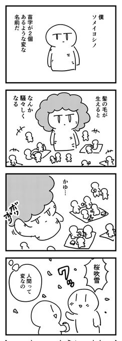 サクラノキモチ
(四コマ) 