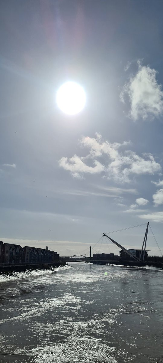 Deb Chapman tweet media