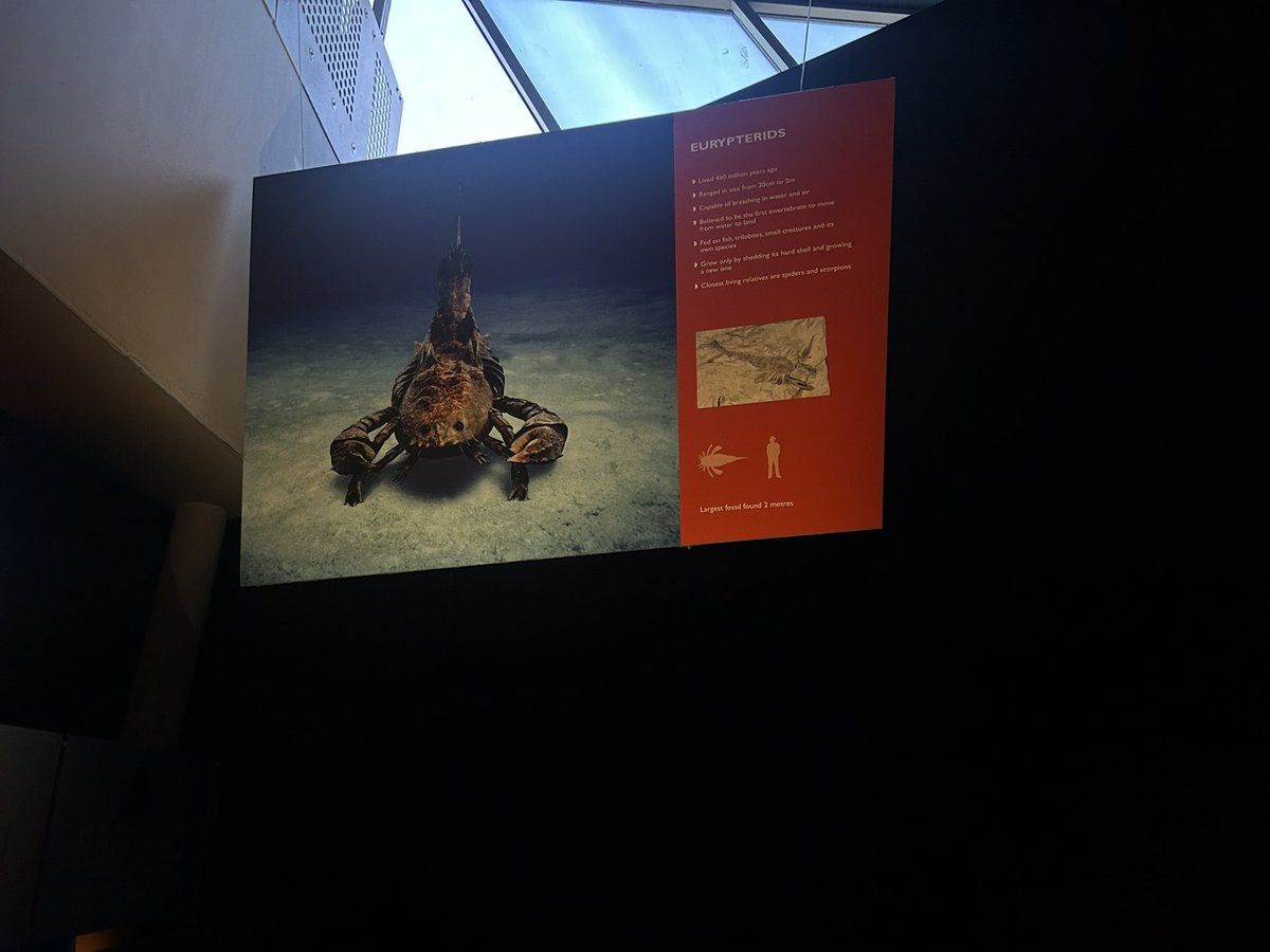 michael bubble when i finally find these... SIC EM BOYS....