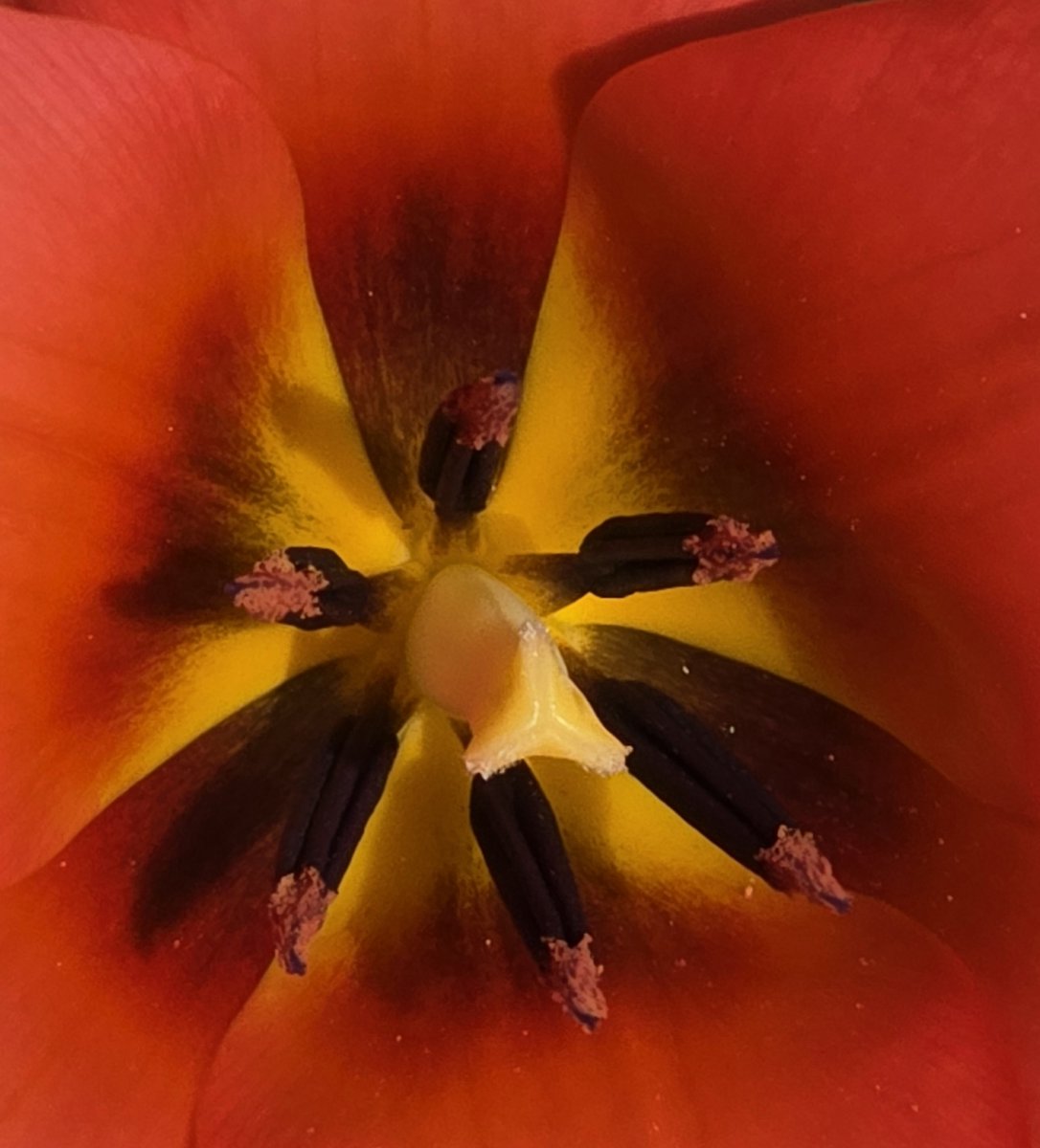 Data_BirdMan's tweet image. Beauty of nature!