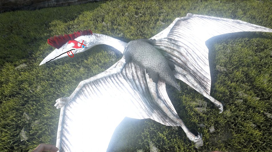 donald__MR's tweet image. Ooft 2-0 @quetzal