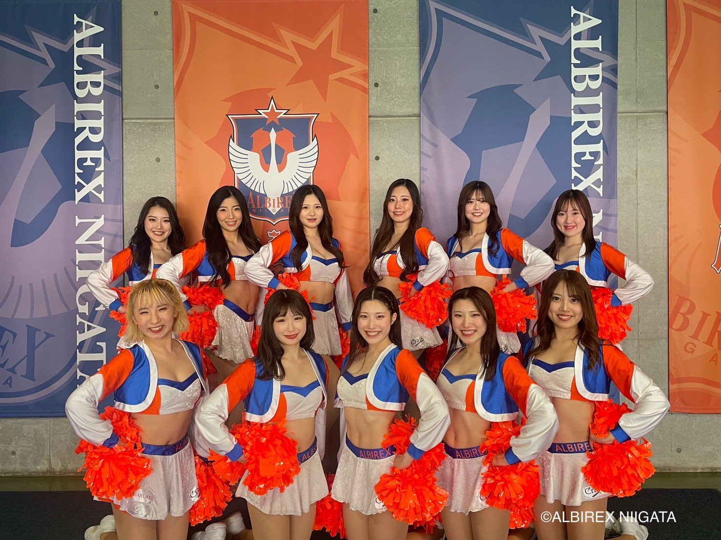 【ALBIREX】アルビチア　ユニフォーム ALBIREX アルビチア ユニフォーム LL - メルカリ